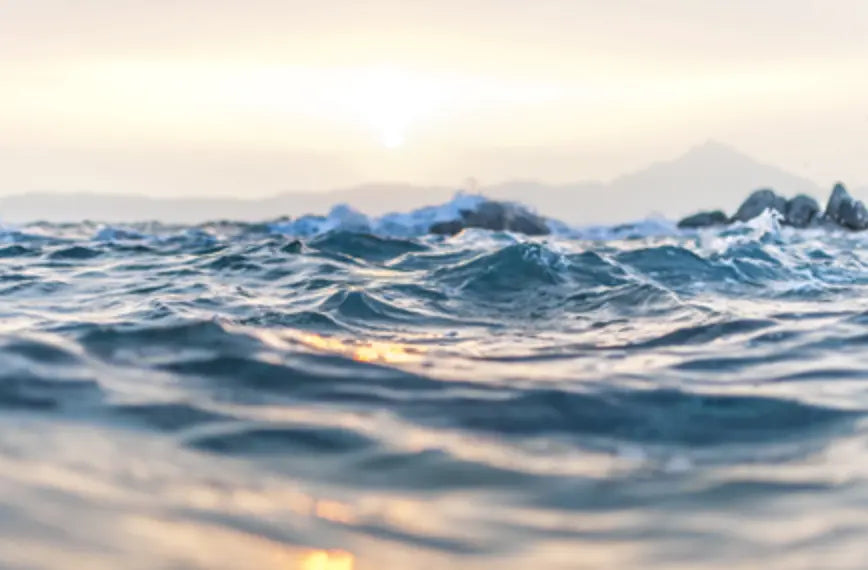 Buvez du thé de manière durable – économisez de l'eau et de l'énergie avec BRU ! BRU AG