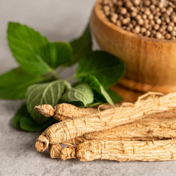 Racines de ginseng avec des feuilles fraîches et un bol en bois