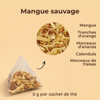 Mangue sauvage