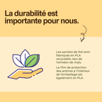 Mangue sauvage