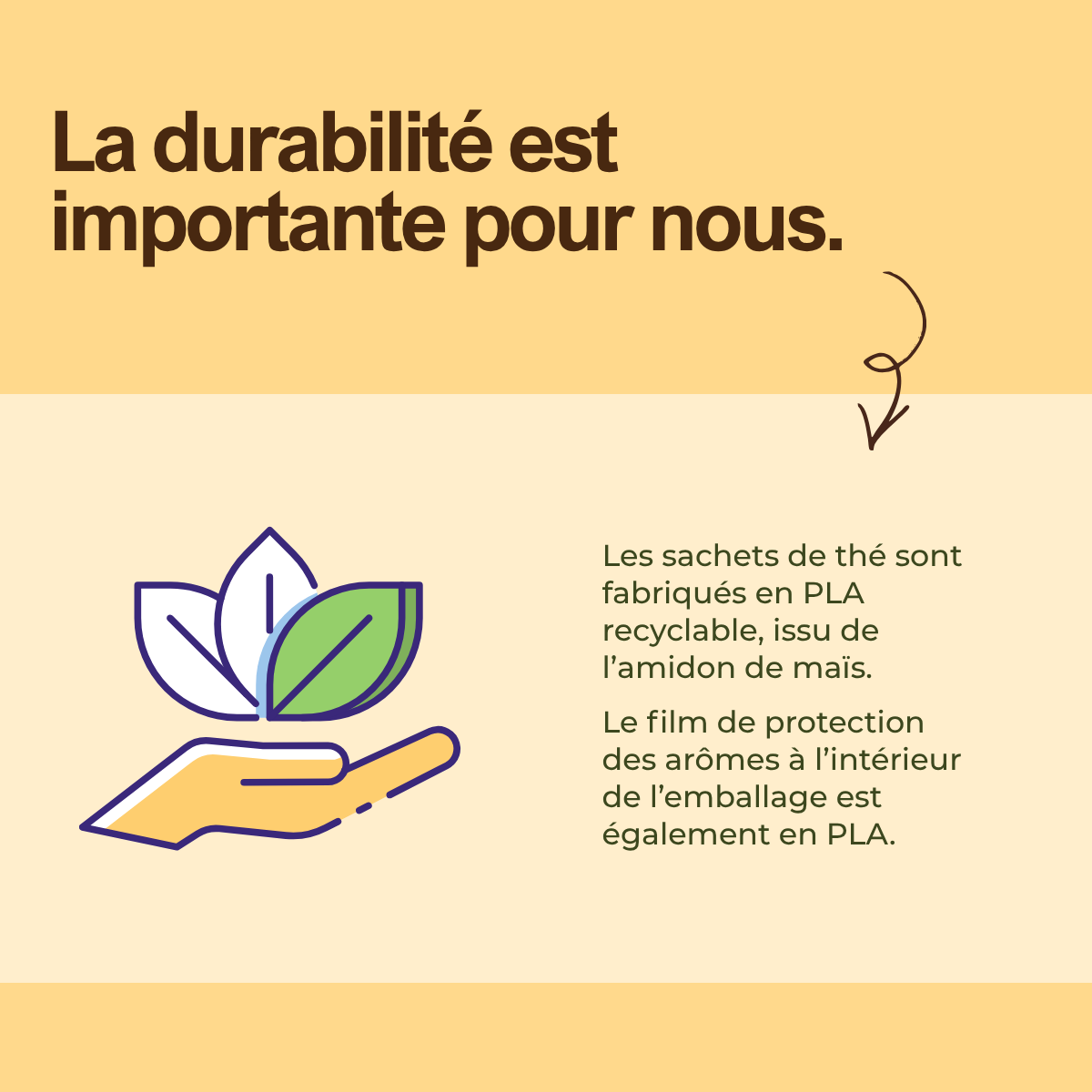 Mangue sauvage