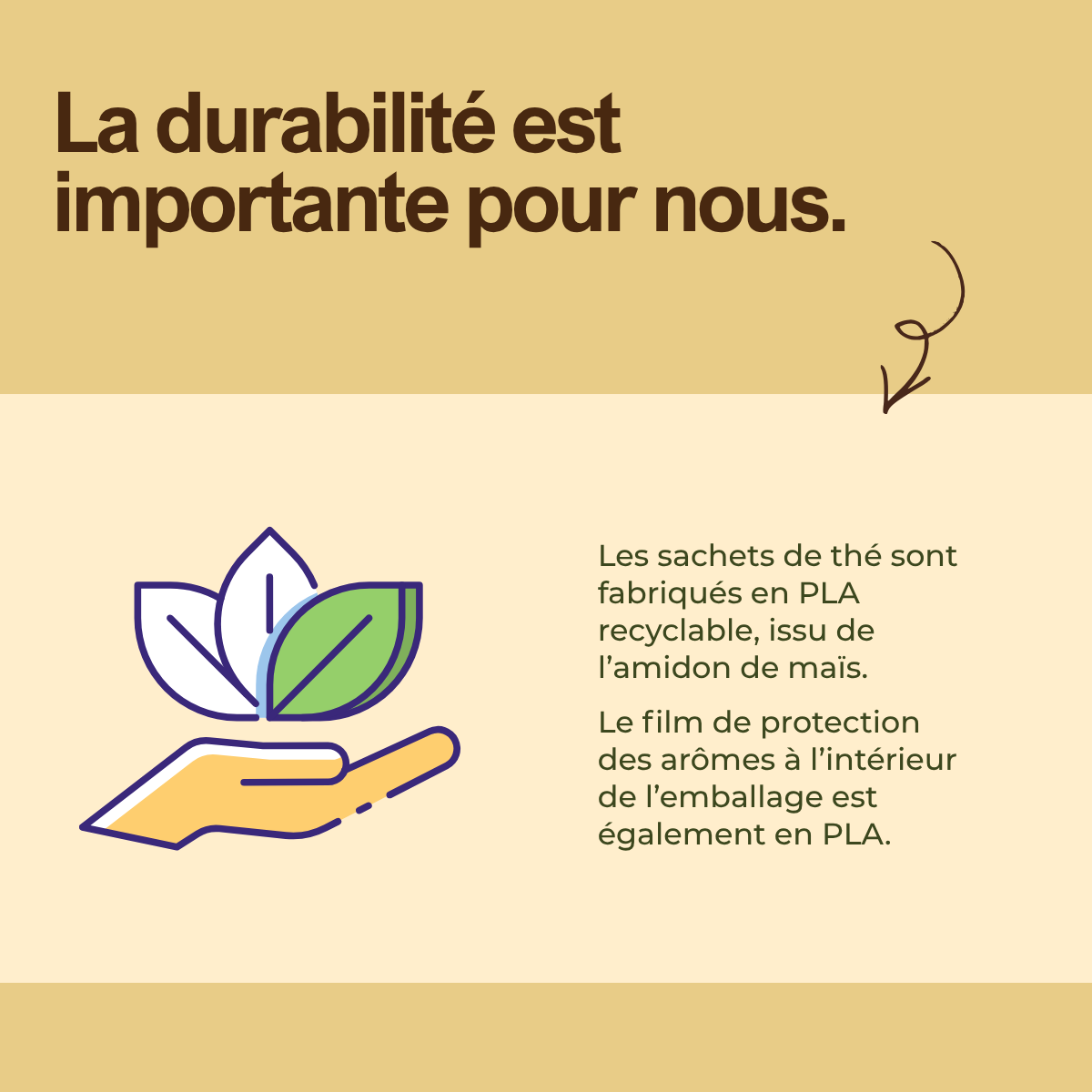 Thé noir Earl Grey de qualité supérieure - sachets de thé