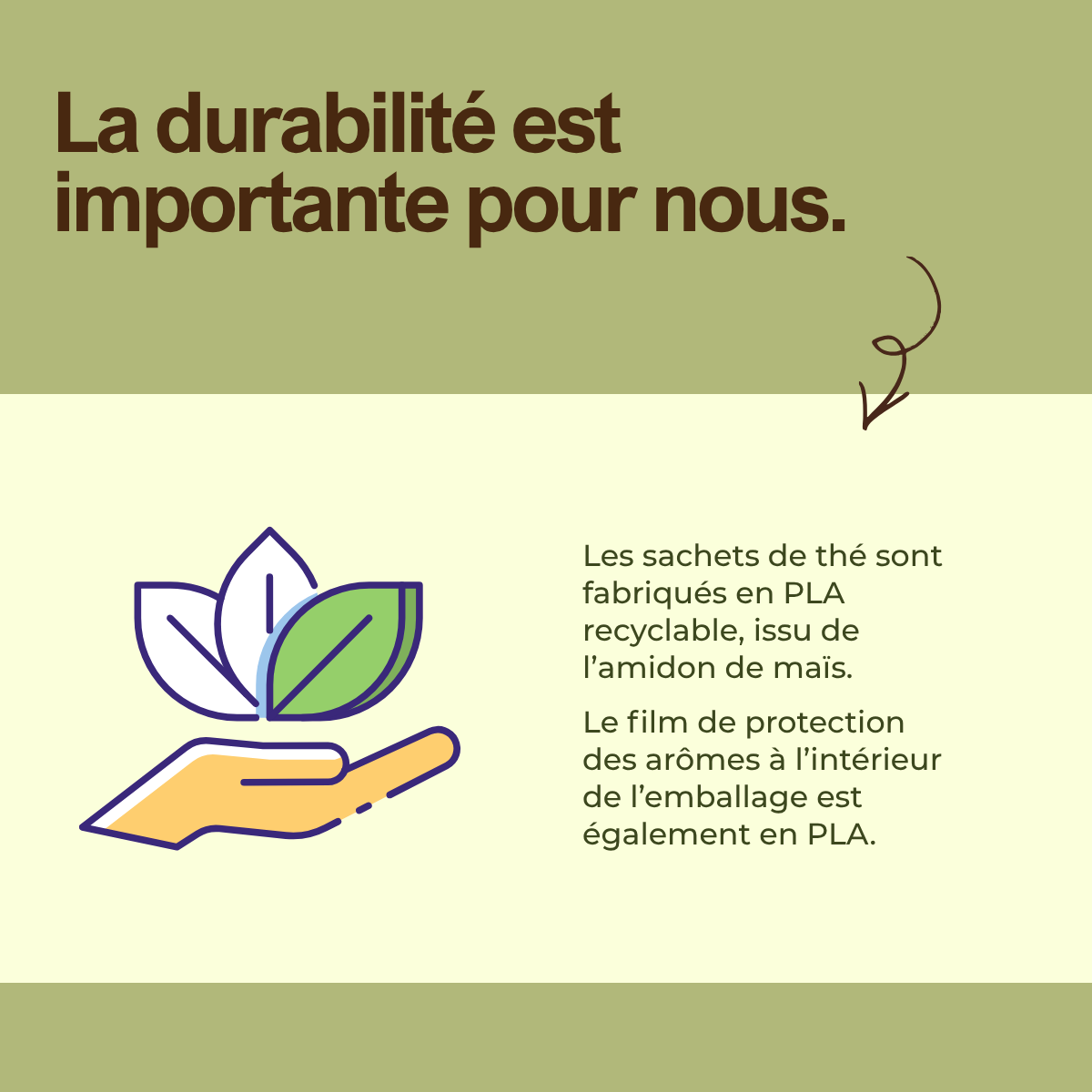 Thé vert au gingembre et citron - sachets de thé