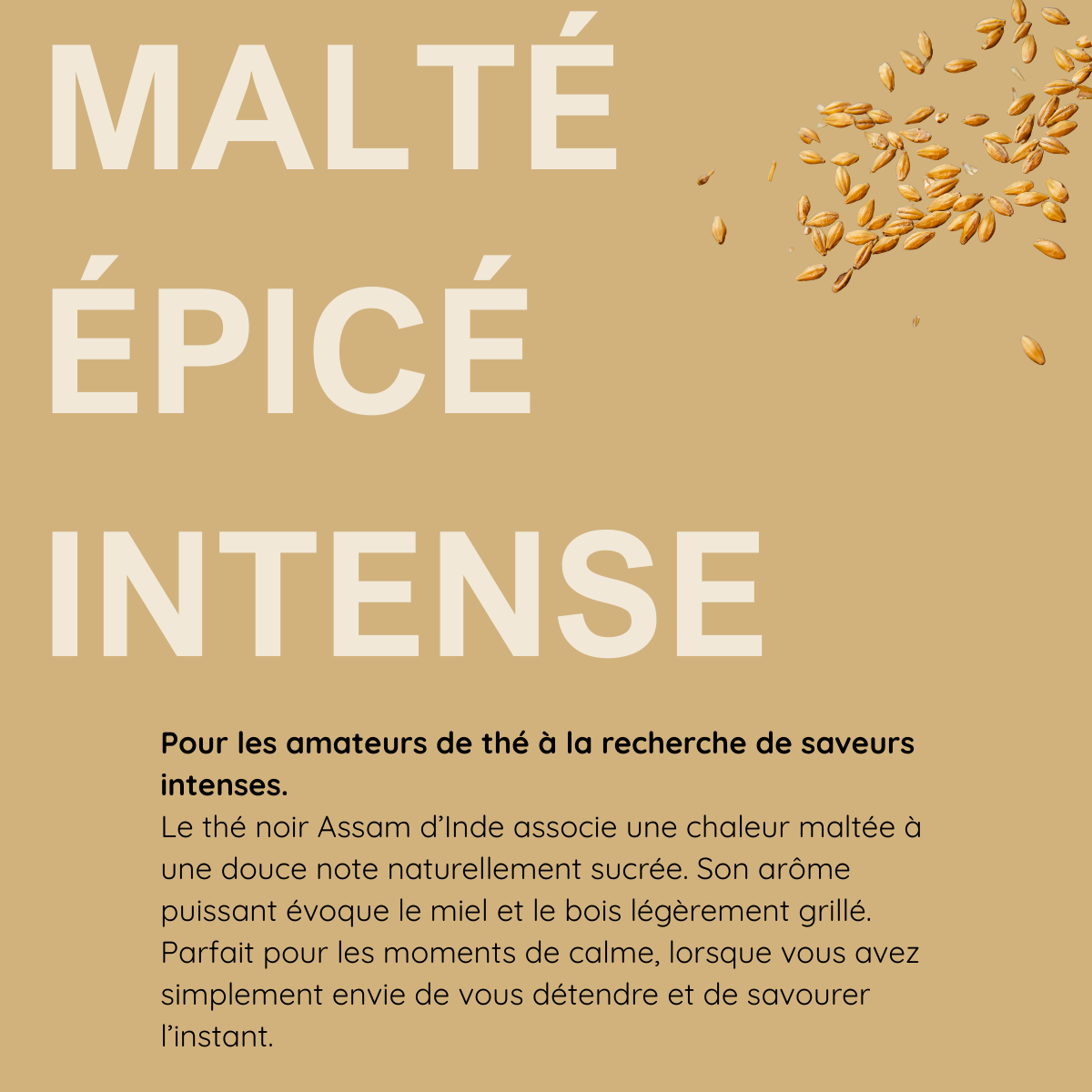 Thé noir Assam d'Inde