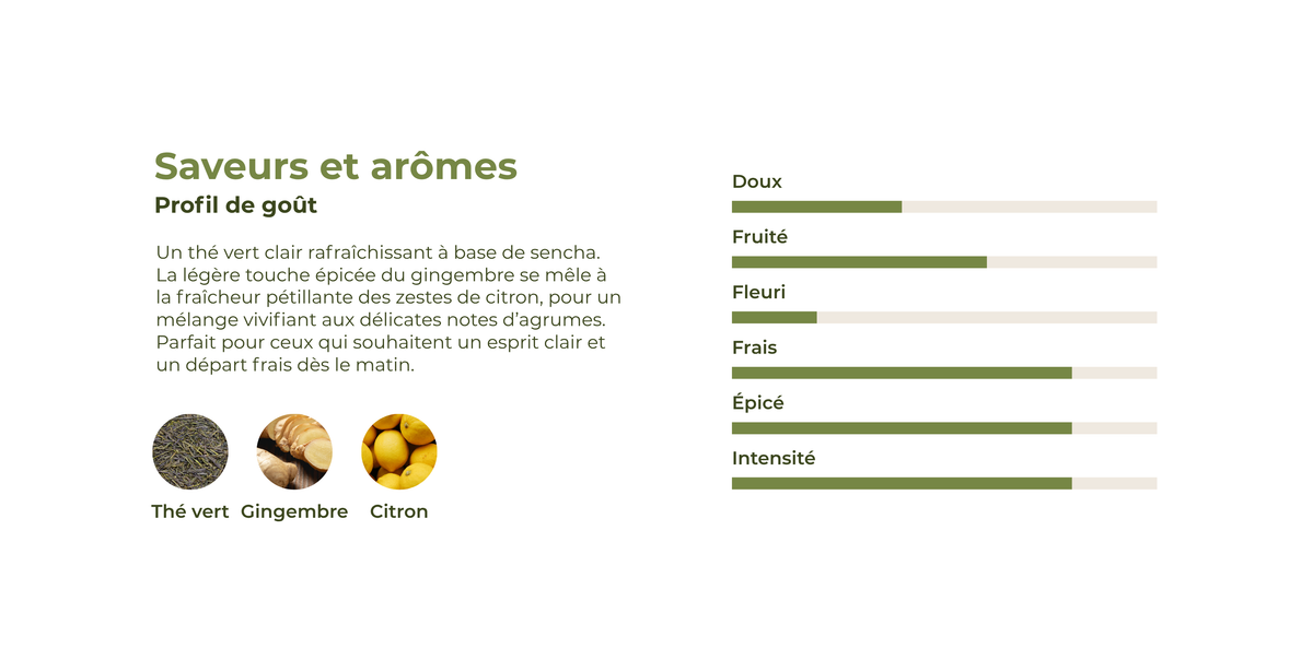 Profil de goût du thé énergisant Grüner Kick avec thé vert, gingembre et citron