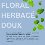 Douce nuit - tisane du soir
