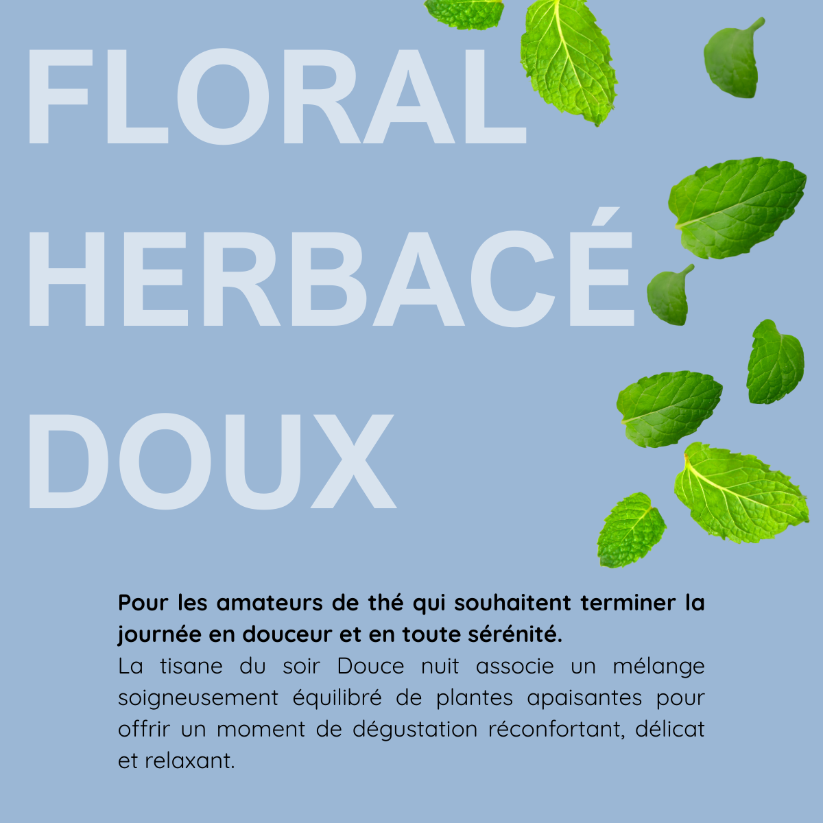 Douce nuit - tisane du soir