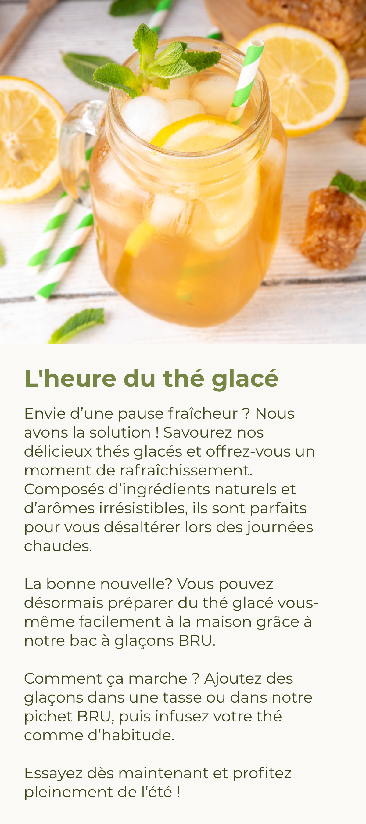 Bac à glaçons BRU