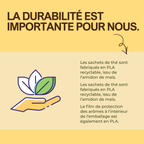 Coup de mangue