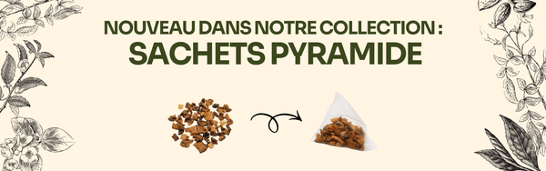 Thés en sachets pyramide BRU – BRU France