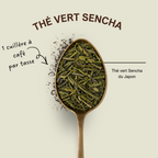 Thé vert Sencha du Japon