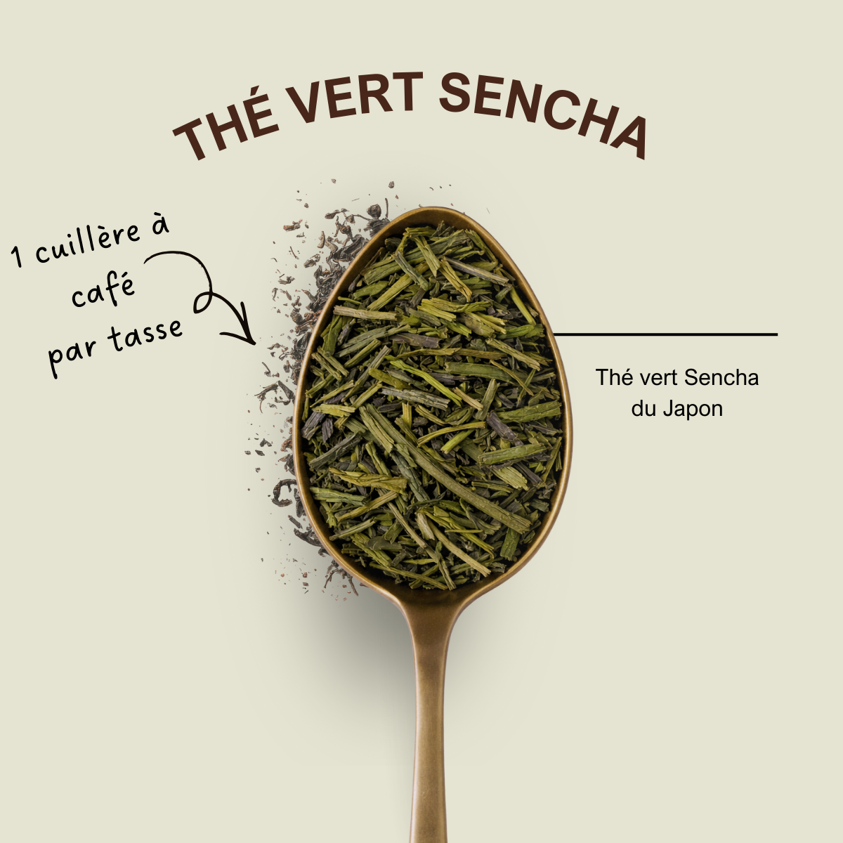 Thé vert Sencha du Japon