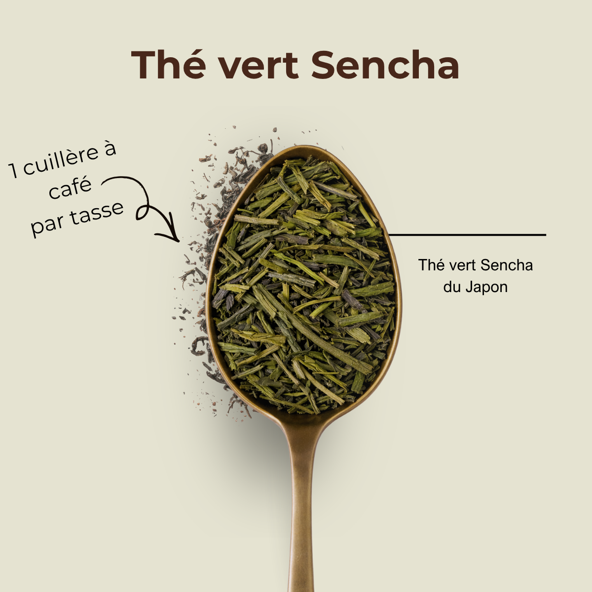 Thé vert Sencha du Japon  - thé en vrac