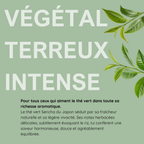 Thé vert Sencha du Japon