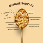 Mangue sauvage