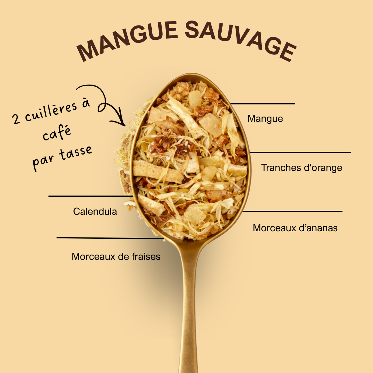 Mangue sauvage