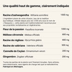 Lion's Mane · Thé vitalité