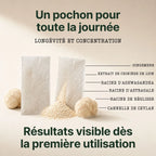 Lion's Mane · Thé vitalité