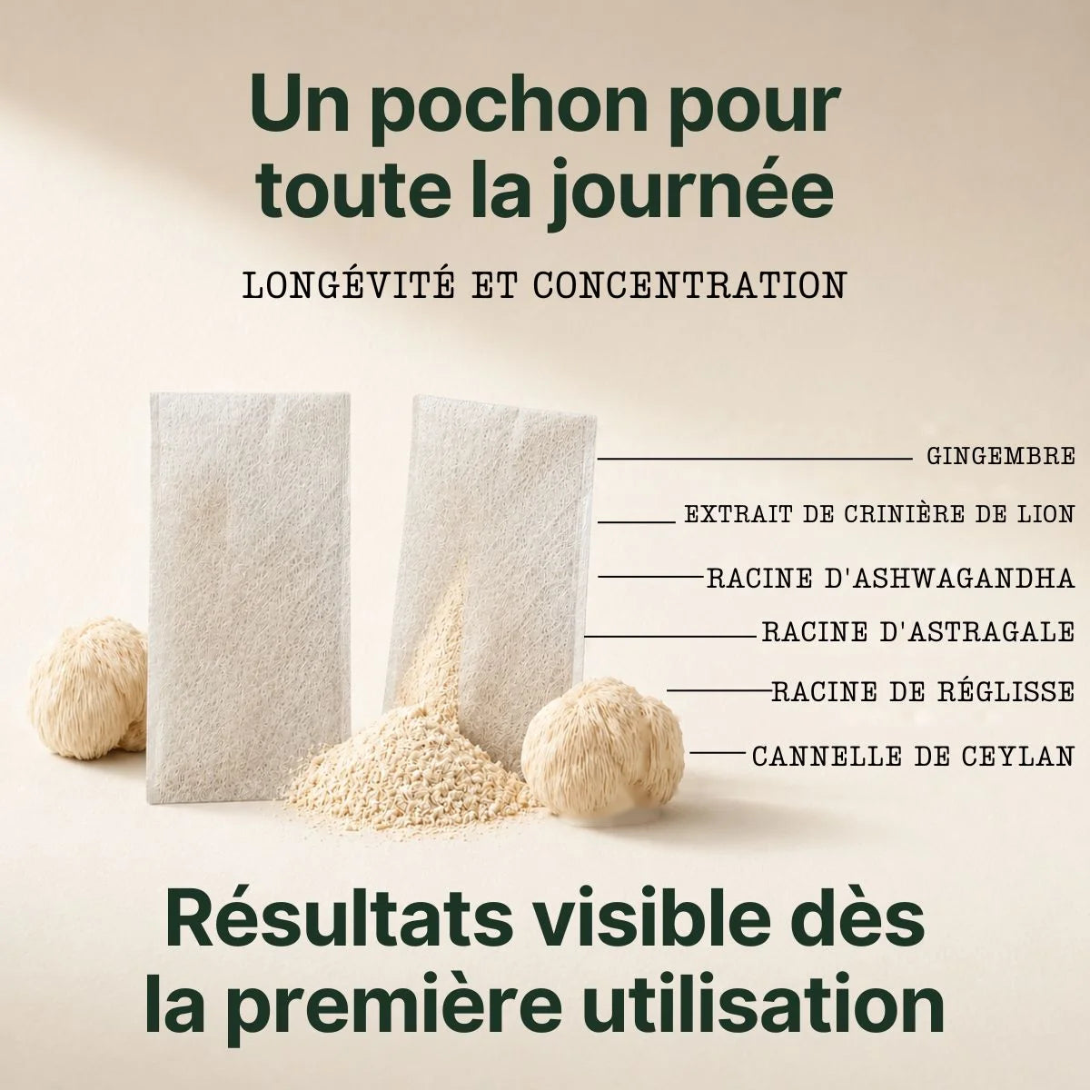 Lion's Mane · Thé vitalité
