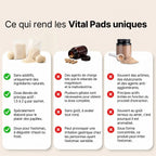 Lion's Mane · Thé vitalité