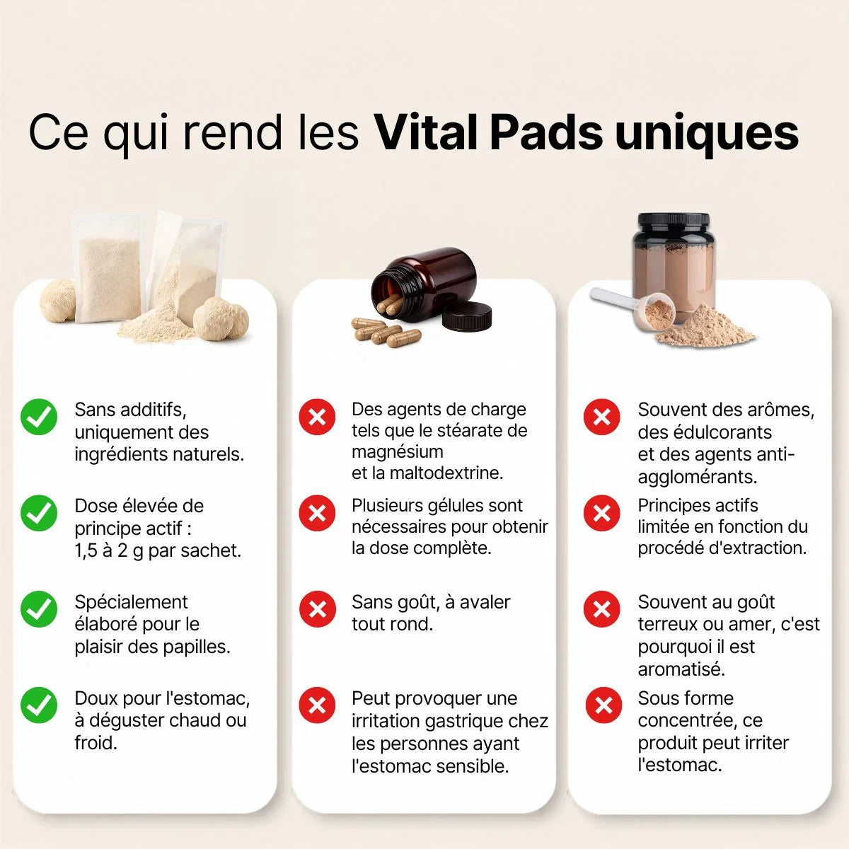 Lion's Mane · Thé vitalité